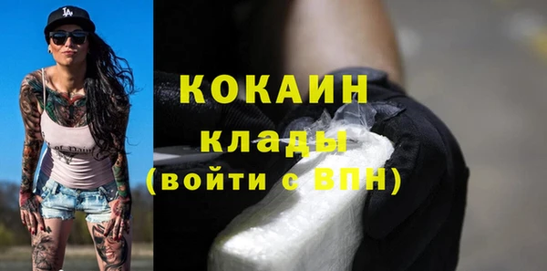 твердый Козельск
