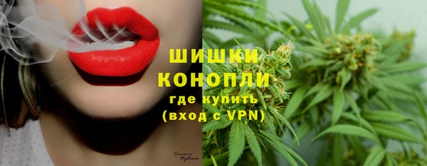 твердый Козельск