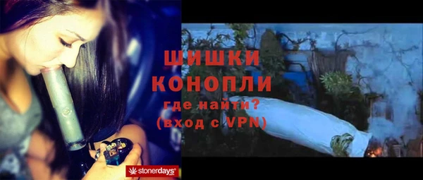 соль ск Козловка