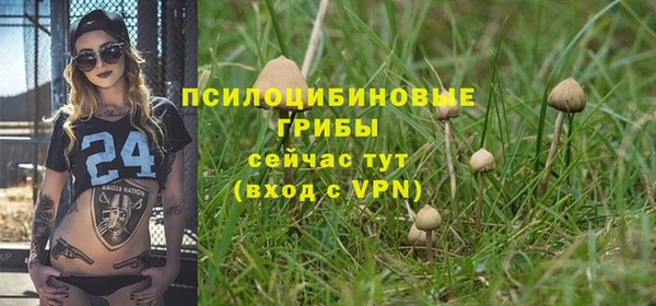 скорость Коряжма