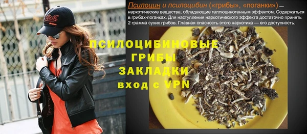 твердый Козельск