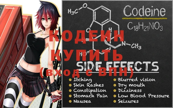 соль ск Козловка