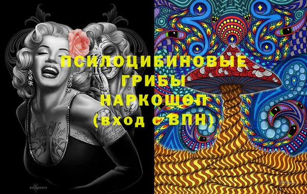 гашик Кинешма