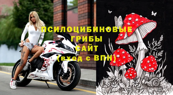 твердый Козельск