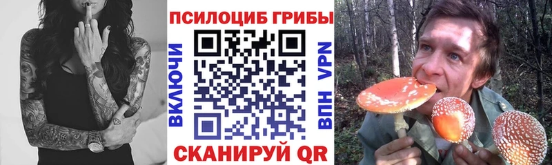 Псилоцибиновые грибы GOLDEN TEACHER  купить наркоту  Минусинск 